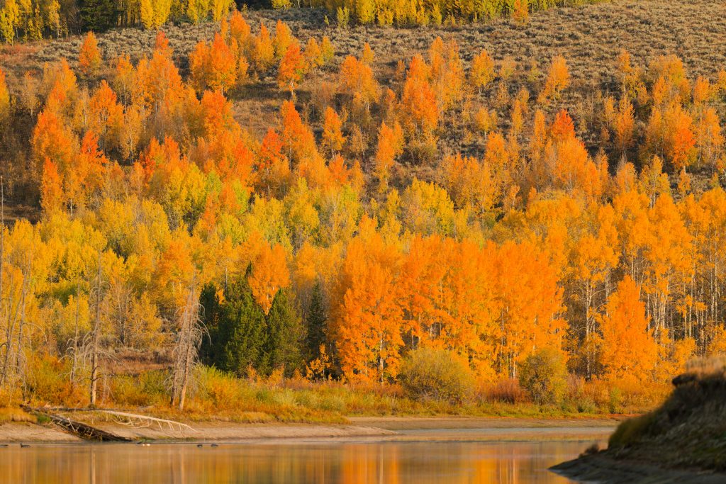 GrandTeton Nationalpark, Fall 2024 – Landscapes