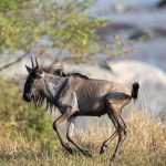 .. this river is crossed